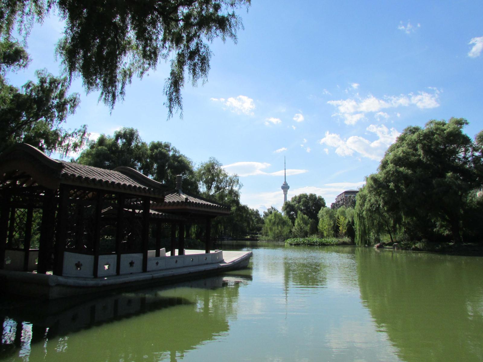 濕地保育區(qū) (1).JPG