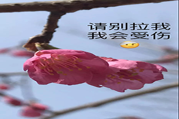 微信圖片_20190.jpg