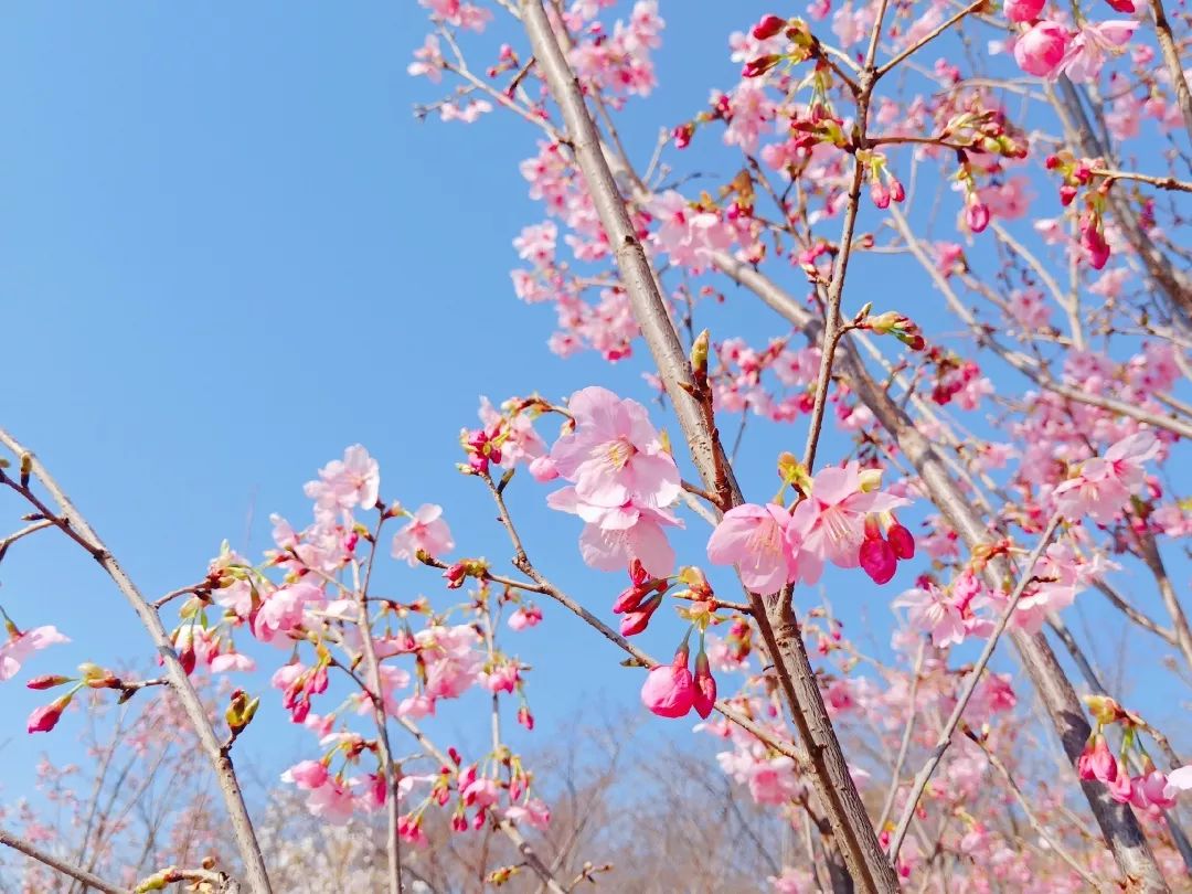 微信圖片_20190319082459.jpg