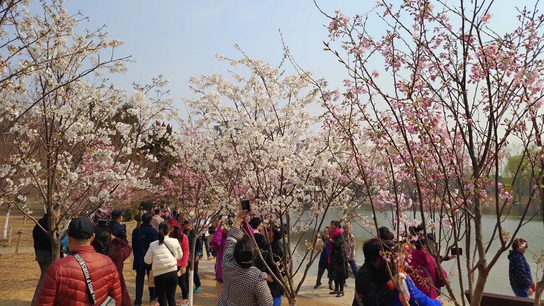 微信圖片_20190319082554.jpg