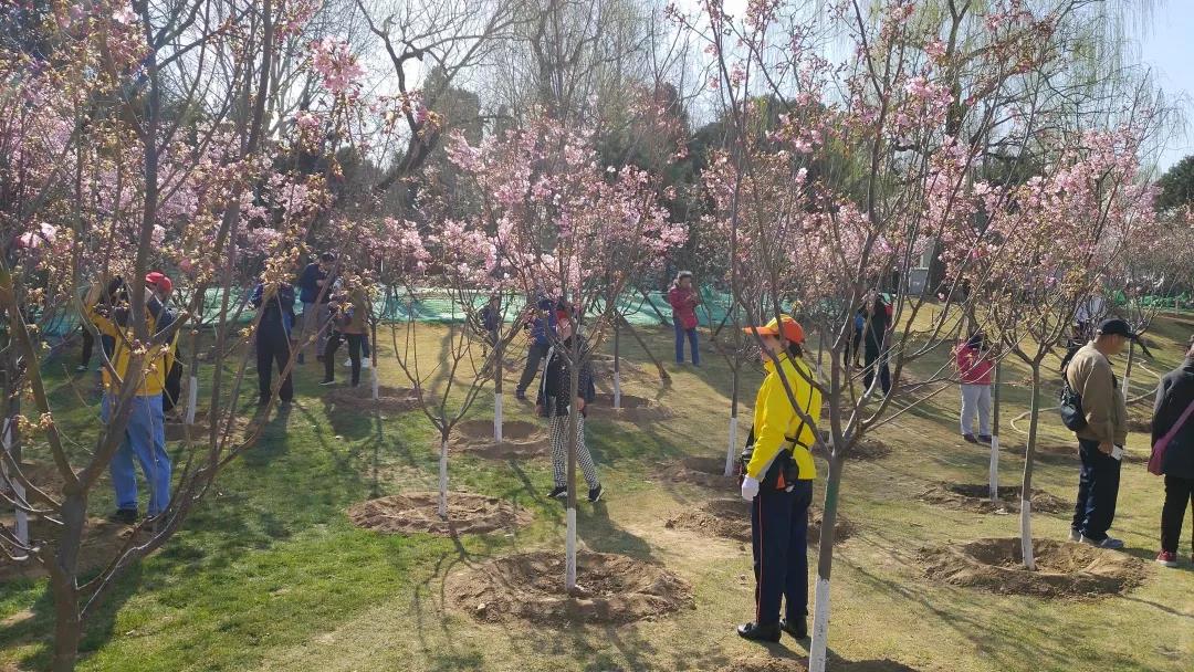微信圖片_20190319082706.jpg