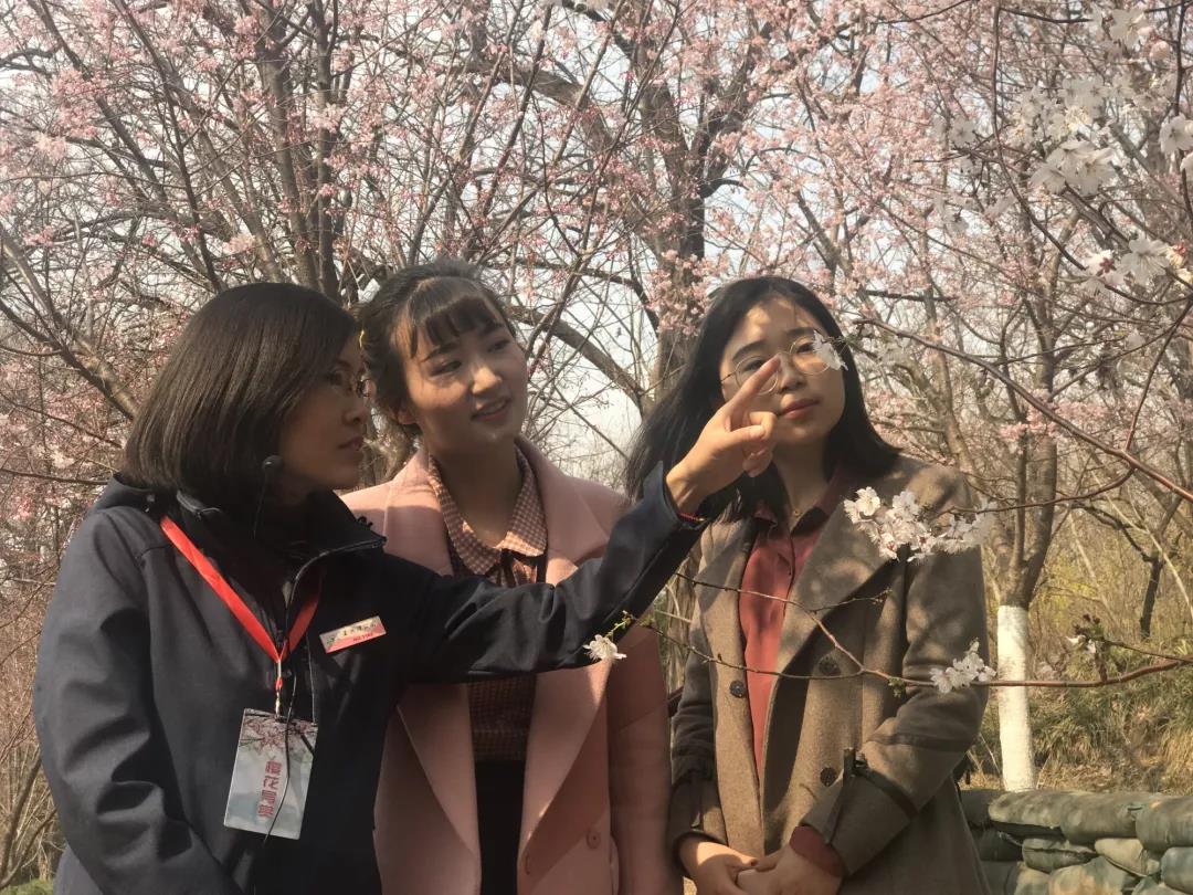 微信圖片_20190319082811.jpg