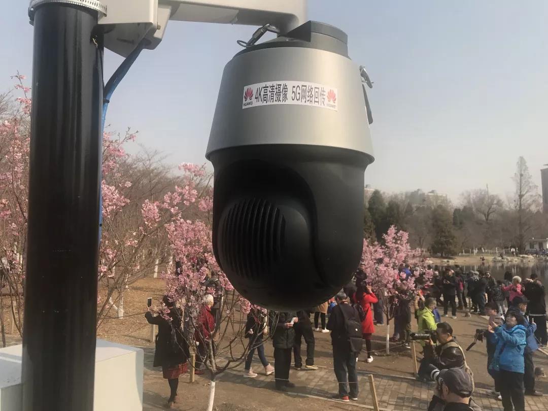 微信圖片_20190319083037.jpg