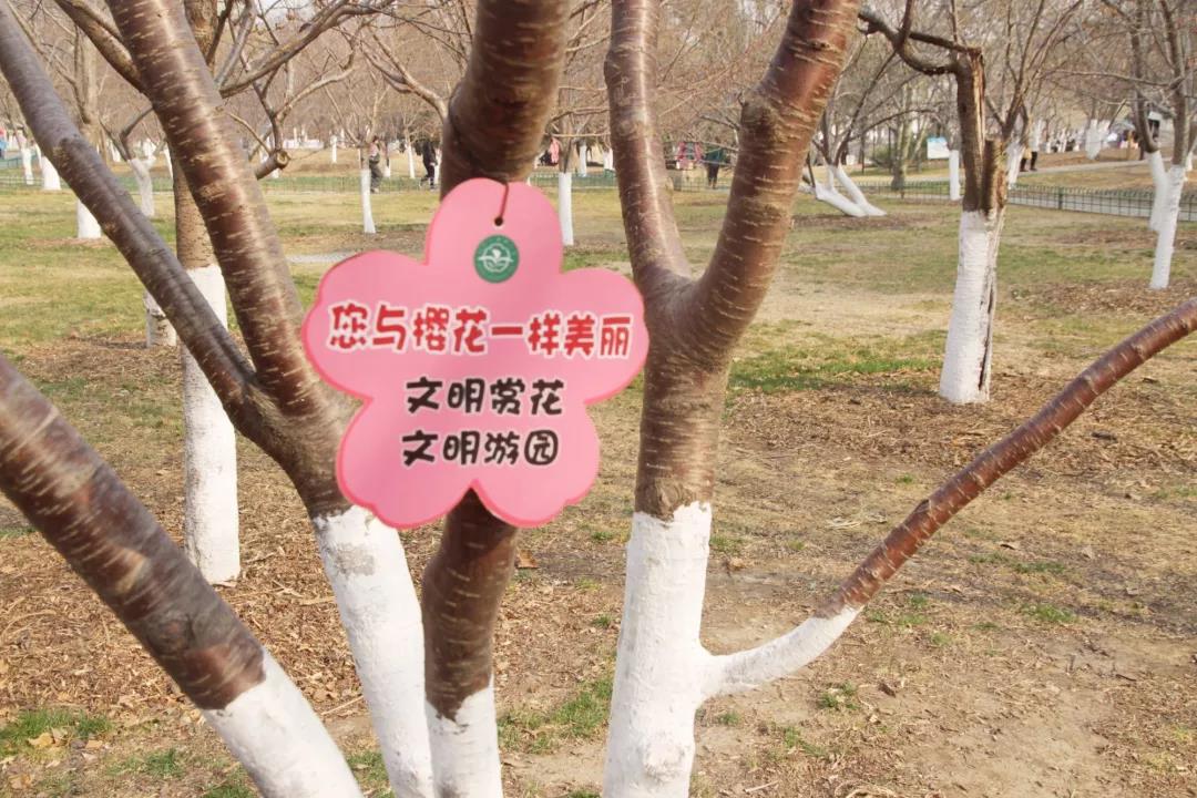 微信圖片_20190319083928.jpg